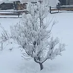 Casa Soia Фалькаде