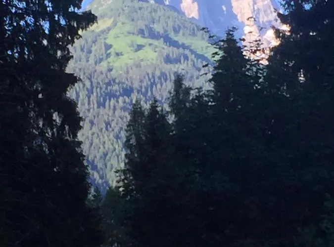 Lejlighed Casa Soia Falcade