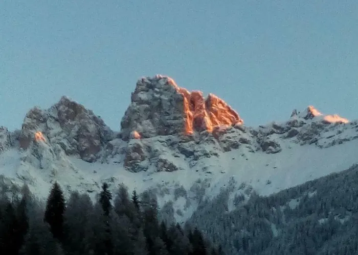 Casa Soia 아파트 *