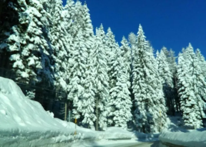 Casa Soia 아파트 팔카데