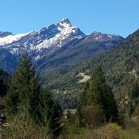 Daire Casa Soia Falcade