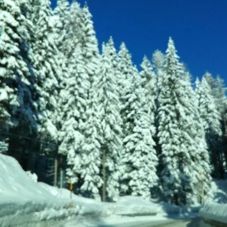 Casa Soia Daire Falcade