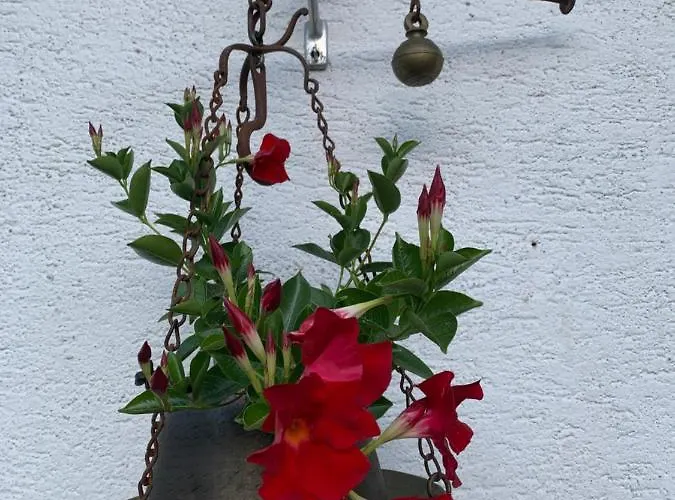 Apartman Casa Soia Falcade
